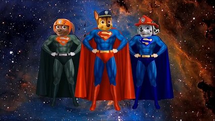 Tom and Jerry SPIDERMAN & Paw Patrol SUPERMAN + PJ Masks Skeleton Nursery Rhymes Songs for Children