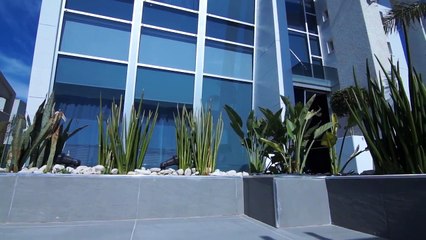 designed Curtains for home usage