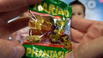 Mr.Max and Miss Katy HARIBO Харибо адвенткалендарь пробуем 24 разных харибо наборов и конфет из Advent Calendar 2016