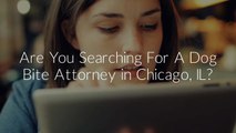 Marc J Shuman & Associates, Ltd : Dog Bite Attorney in Chicago, IL