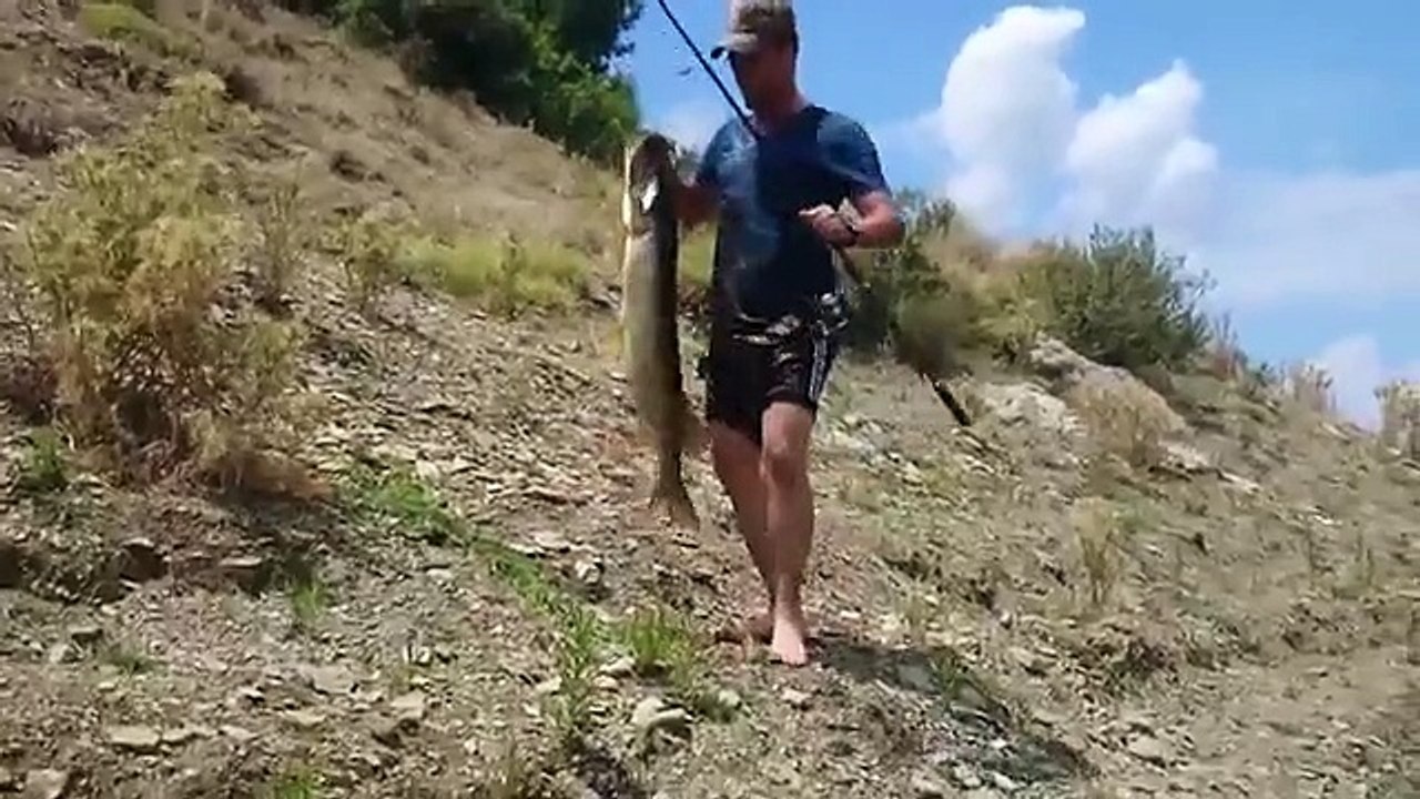 Smart Fish