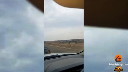 Un hippopotame fait face à une voiture et ça ne se termine pas très bien