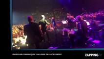 Pascal Obispo fait un Mannequin Challenge géant en plein concert, la déo fait le buzz