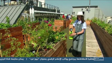 ‫هذا الصباح-الزراعة المنزلية لها فوائد صحية ونفسية‬‎