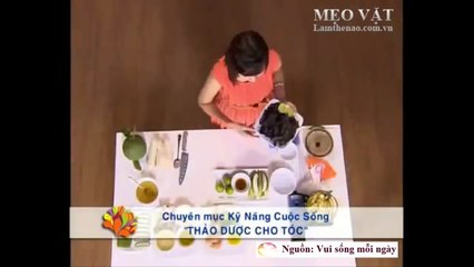 Một số cách trị gàu thông dụng nhất của người xưa