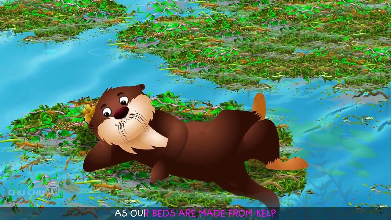 Sea Otter Nursery Rhyme | ChuChuTV Sea World | Animal Songs For Children