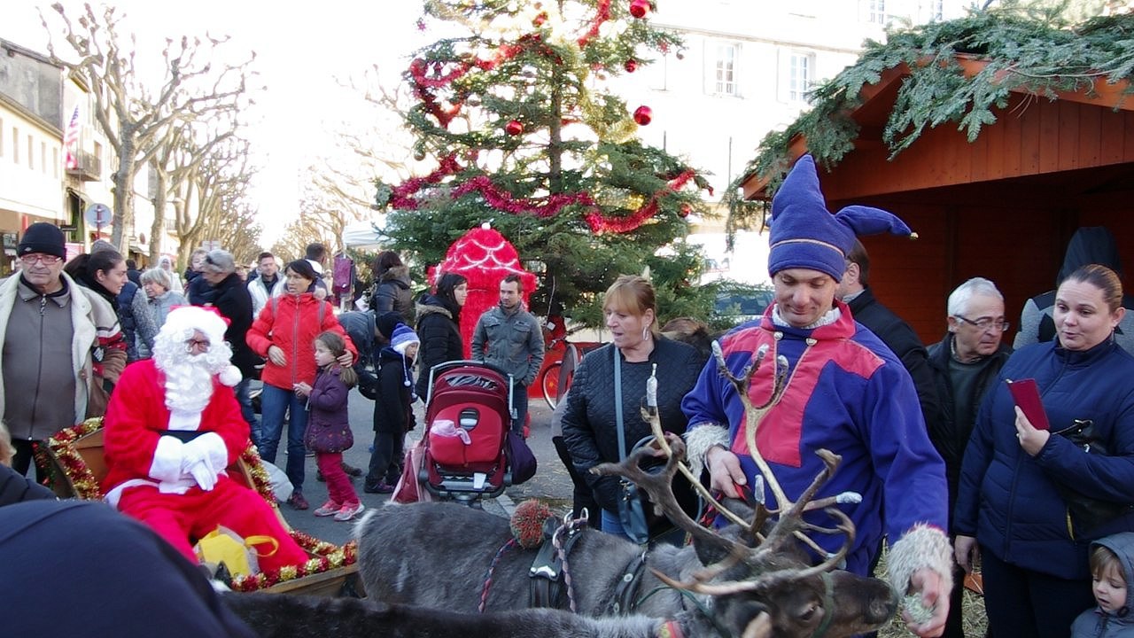 Fête de l'âne gris de Digne-les-Bains