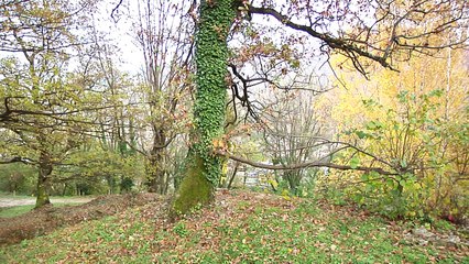 C'est pas mal chez vous - Notre-Dame-de-Mésage