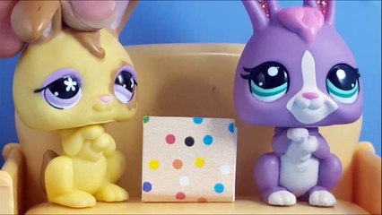 Minişler: Evcil Kartopu | LPSEM miniş