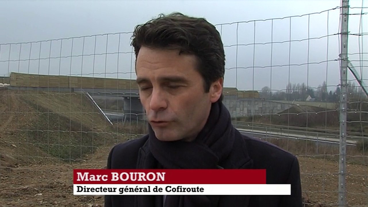 Faune sauvage et autoroute