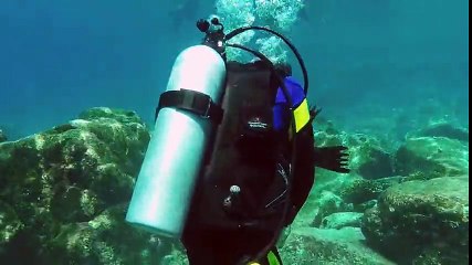 Dalgıçlarla Oyun Oynamak Isteyen Yaramaz Denizaslanı