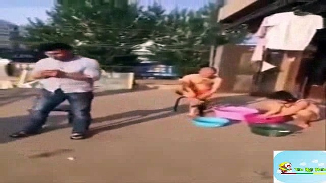 Funny videos 2016 funny vines try not to laugh challenge - #1