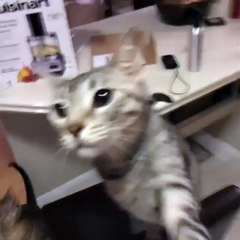 Funny Videos (@funny_videos) • Instagram photos and videos_13