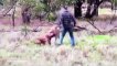 Un homme frappe un kangourou pour sauver son chien