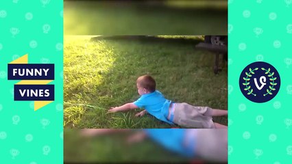 Funniest Animal Fails of 2016 Weekly Compilation - Funny Vines