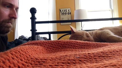 Comment se venger d'un chat qui miaule toute la nuit ?