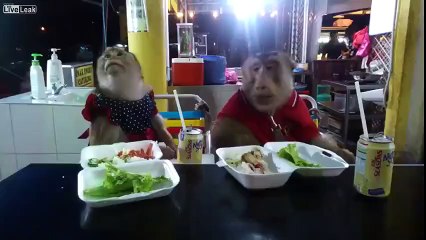 Singe sournois