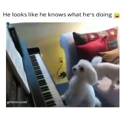 Punjabi Tadka (@punjabi_tadka) • Instagram photos and videos_17