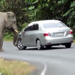 Punjabi Tadka (@punjabi_tadka) • Instagram photos and videos_19