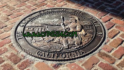 서면오피걸 OPSS1(닷컴) 오피에스