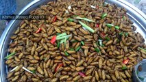 Asian Street Food,Khmer Food,Fried Silkworm,Rice Cake,Fried Prawn,#01,Khmer Streed Food HD