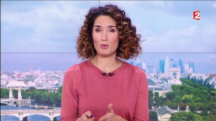 Manuel Valls : qui pour lui succéder à Matignon ?