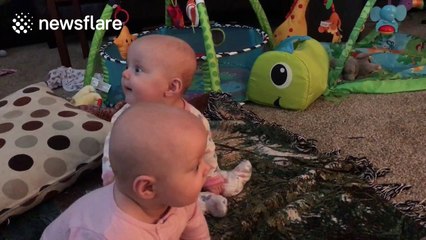 Toddlers encounter Harry Potter toy train for the first time and think it's amazing