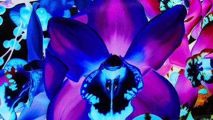 Dior Lady Art - Marc Quinn