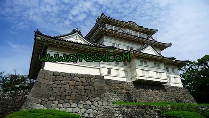 장안립카페 OPSS1(닷컴) 오피에스