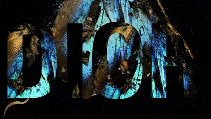 Dior Lady Art - Mat Collishaw