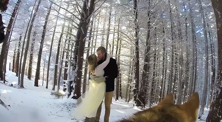 Coppia decide di affidare il video delle nozze al proprio cane: Il risultato? il miglior video di nozze mai realizzato!