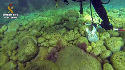 Divers found white sheets while diving