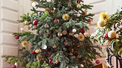 Noël : des sapins qui nous inspirent