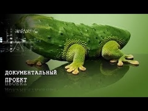 Документальный проект. Еда. Рассекреченные материалы