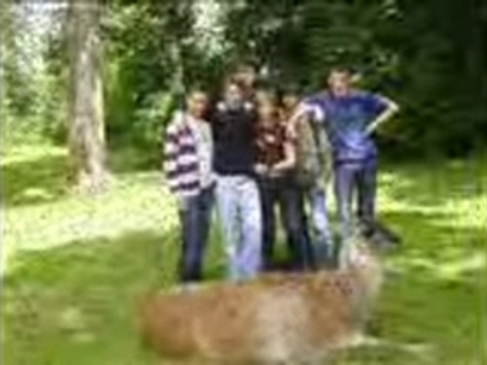 Video irlande