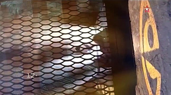 Секретная папка. Эльбрус. Секретная операция Гитлера 2016