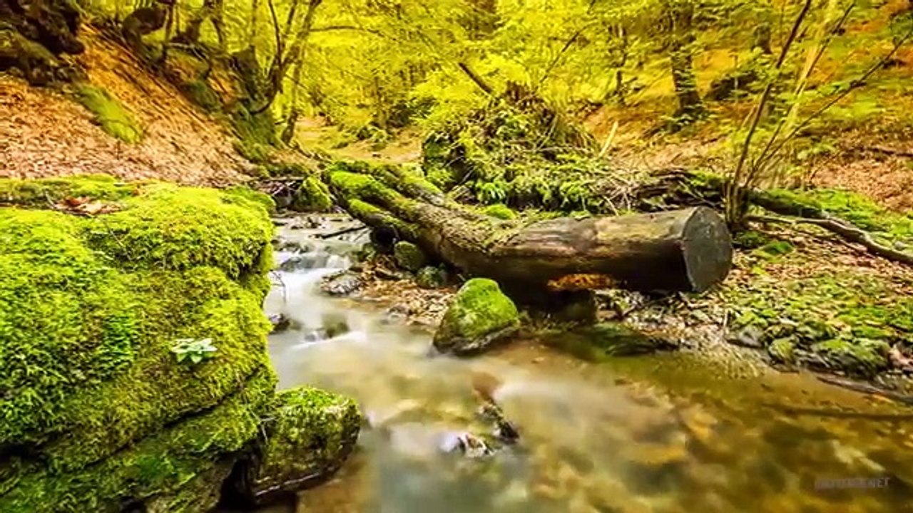 المناظر الطبيعية في البوسنة(دقة عالية