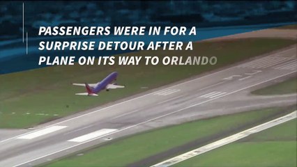 Baby born mid-flight on Southwest Airlines