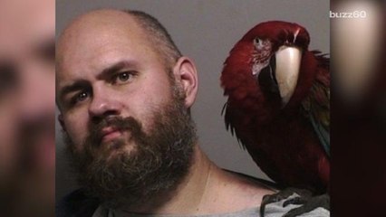 Best Mugshots of 2016