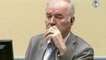 Mladic was central figure in Srebrenica massacre, say war crimes prosecutors