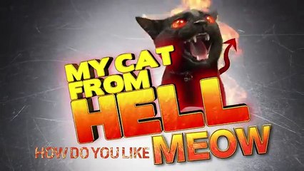 Meet Baxter, a Cat With OCD   My Cat From Hell