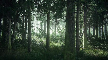 The Last of Us 2׃ PSX 2016 Reveal Trailer