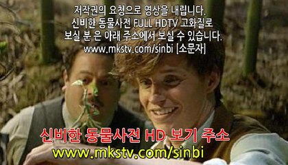 신비한 동물사전 다시보기 [2]