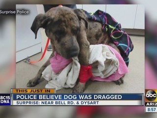 Dog believed to be dragged by car in Surprise