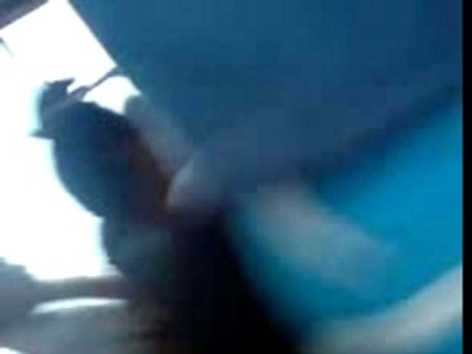 BUS DU MAROC ! lol limite des hooligans