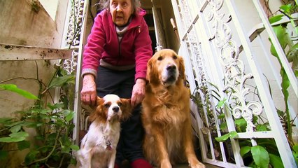 Bondi Vet: S1 E4