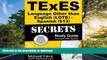 Epub TExES Languages Other Than English (LOTE) - Spanish (613) Secrets Study Guide: TExES Test