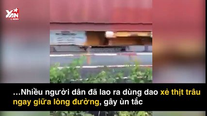 Cảnh người dân "hôi" thịt trâu chết giữa quốc lộ gây phẫn nộ