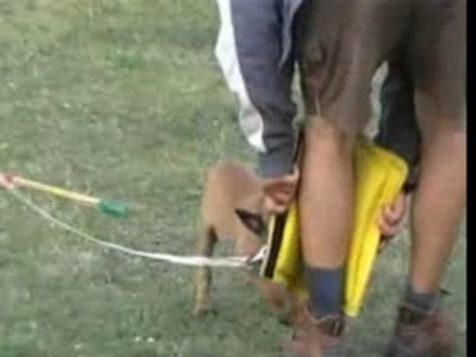 Be Aware Aphrodite-Schutz-19.08.2007