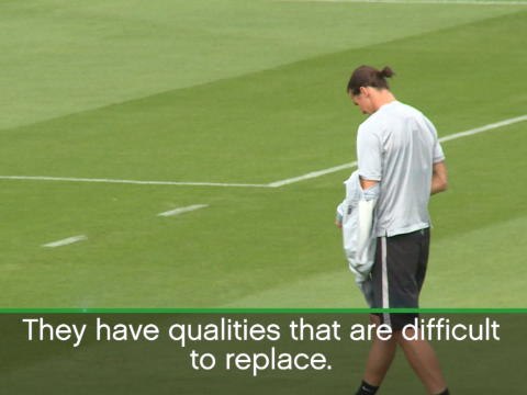 Replacing Zlatan is almost impossible - Maxwell